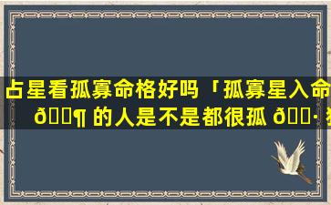 占星看孤寡命格好吗「孤寡星入命 🐶 的人是不是都很孤 🌷 独」